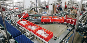 Línea de producción de procesamiento y pesaje de carne de cerdo totalmente automática