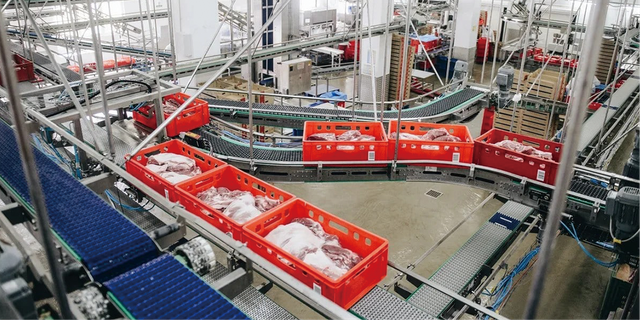 Línea de producción de procesamiento y pesaje de carne de cerdo totalmente automática